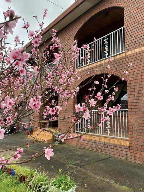 Thomastown Antique House Room 3 - Newcastle Accommodation 3