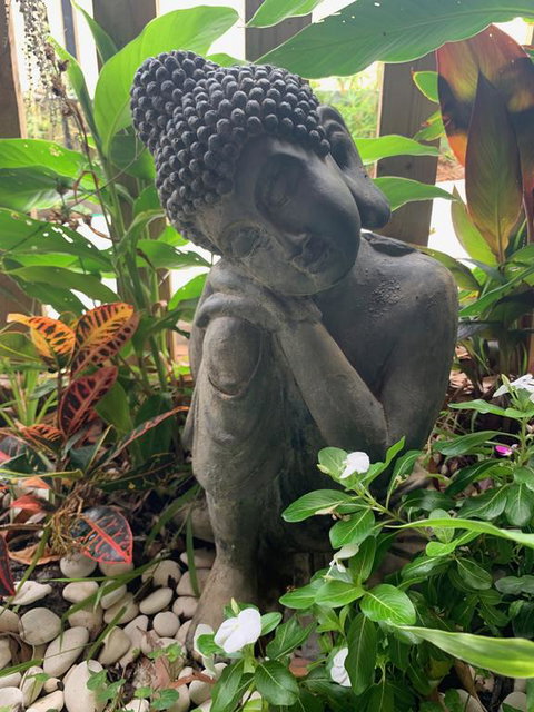 Tranquil Spa Retreat - Newcastle Accommodation 3