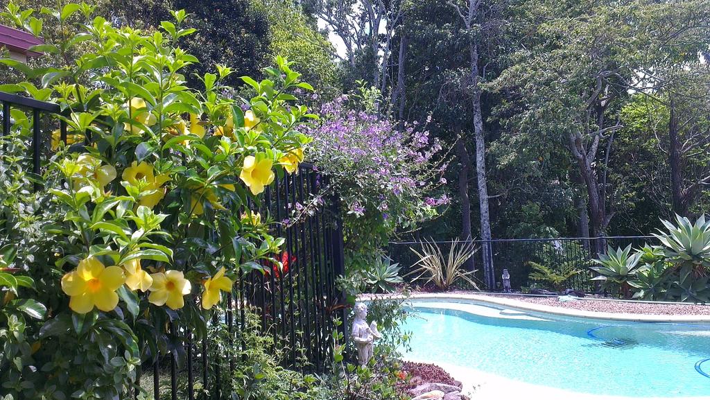 Duranbah NSW Newcastle Accommodation