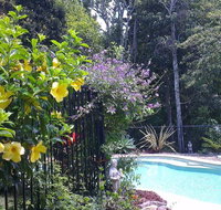Tropical Coast Retreat - Pet Friendly - Newcastle Accommodation