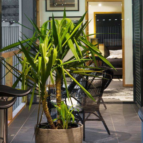 Val D'Argent Equestrian Centre - Newcastle Accommodation 2