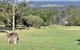 Villas Treinta (Sleeps 30) Resort Condos Located Within Cypress Lakes Resort (nothing Is More Central) - thumb 0