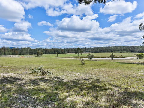 Wallaby Cottage - Cute Accom In Bushland Setting - New Castle Tourism 3