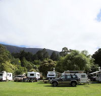 Warburton Holiday Park - New Castle Tourism