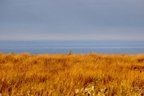 The PC Cottage - Newcastle Accommodation 39