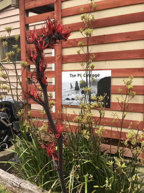 The PC Cottage - Newcastle Accommodation 30