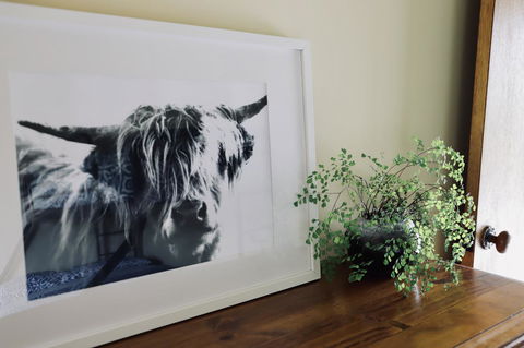 Red Ceder Cottage - Great Ocean Road - Port Campbell - Newcastle Accommodation 5