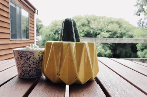 Red Ceder Cottage - Great Ocean Road - Port Campbell - Newcastle Accommodation 21