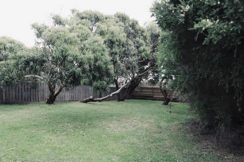 Red Ceder Cottage - Great Ocean Road - Port Campbell - Newcastle Accommodation 24