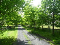 Book Wonga Park Accommodation Vacations Newcastle Accommodation Newcastle Accommodation