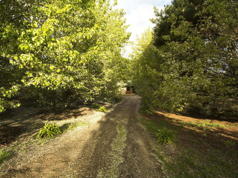 Angel's Rest - Newcastle Accommodation 0