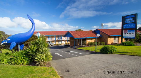 Blue Whale Motor Inn & Apartments - New Castle Tourism 0