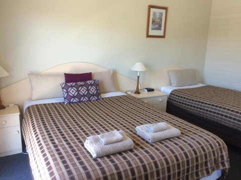 Ambassador Motor Inn - Newcastle Accommodation 13
