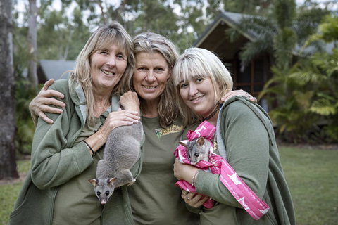 Airlie Beach Eco Cabins - Adults Only - Newcastle Accommodation 23