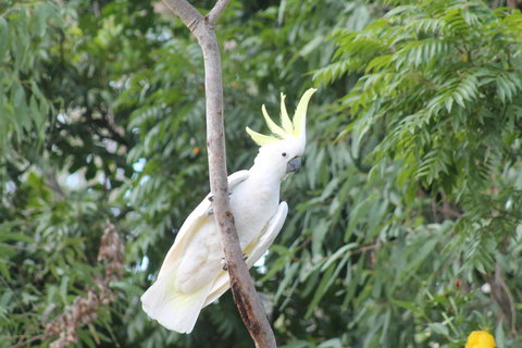 Airlie Beach Eco Cabins - Adults Only - Newcastle Accommodation 4