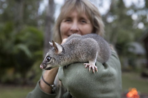 Airlie Beach Eco Cabins - Adults Only - Newcastle Accommodation 11