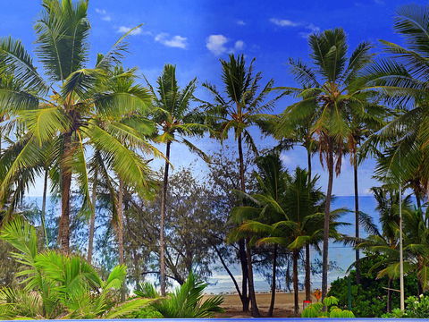 By The Sea Port Douglas - New Castle Tourism 3