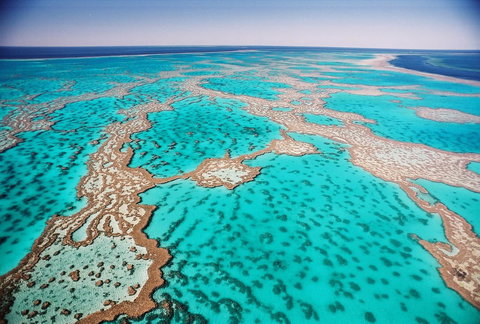 Poinciana 112 - Newcastle Accommodation 20