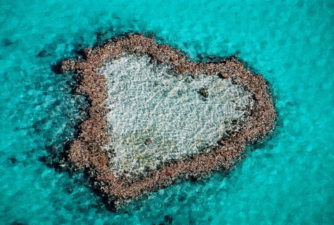 Poinciana 112 - Newcastle Accommodation 21