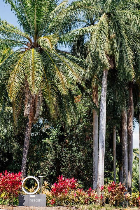 Oaks Port Douglas Resort - Newcastle Accommodation 40