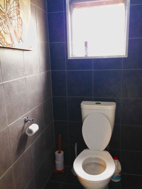 XYL Pets Friendly Seaside Boutique Guesthouse - New Castle Tourism 5