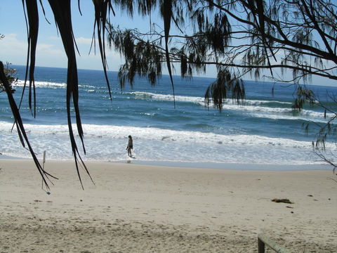Le Beach Apartments - Newcastle Accommodation 16