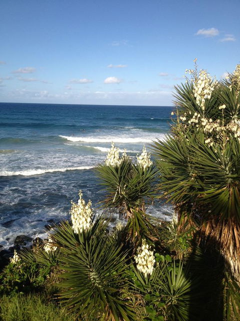 Oceania On Burleigh Beach - Newcastle Accommodation 23