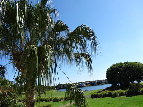 Waterfront Resort Villa With Buggy - New Castle Tourism 33