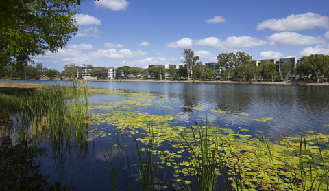 Jacana Apartments - New Castle Tourism 15