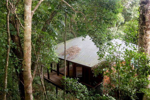 Cairns Rainforest Retreat - New Castle Tourism 0