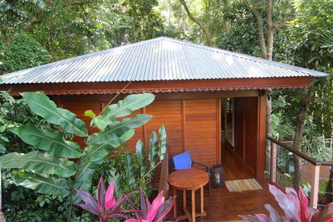 Cairns Rainforest Retreat - New Castle Tourism 5