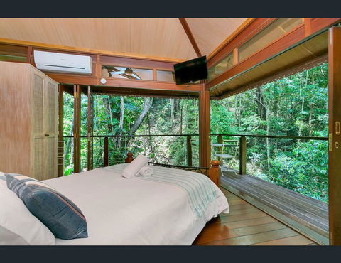 Cairns Rainforest Retreat - New Castle Tourism 9