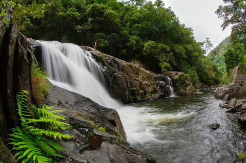 Coral Tree Inn - New Castle Tourism 40