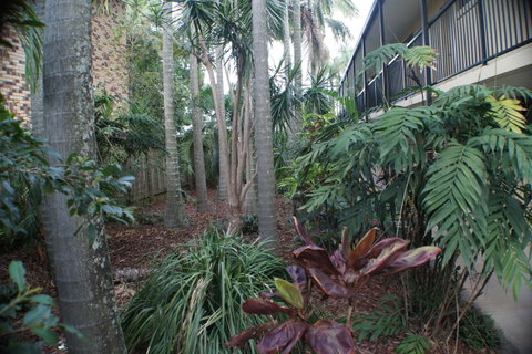 Best Western Airport 85 Motel - Newcastle Accommodation 34