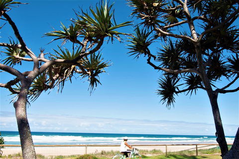 Grande Florida Beachside Resort - Newcastle Accommodation 34