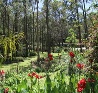 Werekataba - Newcastle Accommodation