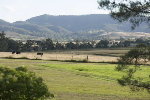 Windarra Lodge - Newcastle Accommodation 3