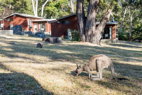 Wonderland Cottages - Newcastle Accommodation 1
