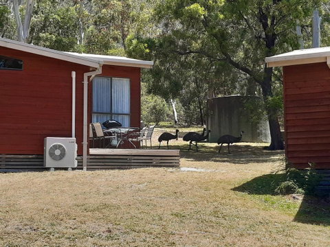 Wonderland Cottages - Newcastle Accommodation 3
