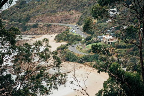 WYE UP - Through The Treetops. Out To The Sea. - New Castle Tourism 2