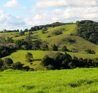 Maleny Springs Farm - Newcastle Accommodation