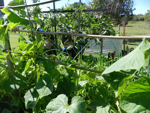 Hay Point Country BnB - Newcastle Accommodation 17