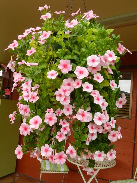 Hay Point Country BnB - Newcastle Accommodation 19