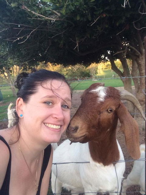 Hay Point Country BnB - Newcastle Accommodation 13