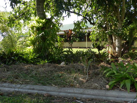 Hay Point Country BnB - Newcastle Accommodation 23