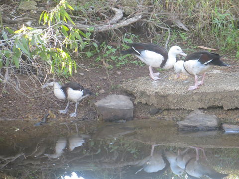 Hay Point Country BnB - Newcastle Accommodation 22