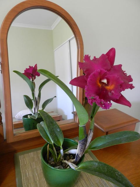 Hay Point Country BnB - Newcastle Accommodation 10