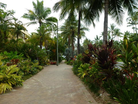 Martinique On Macrossan - Newcastle Accommodation 22