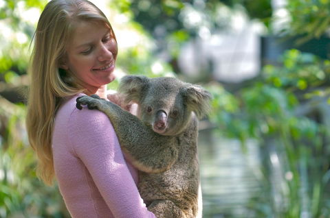 Martinique On Macrossan - Newcastle Accommodation 30