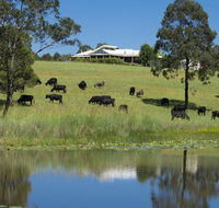 'Talumberi' 221 Trapyard Road - Newcastle Accommodation